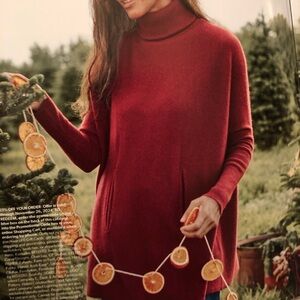 Garnet Hill Oversized Turtleneck Sweater